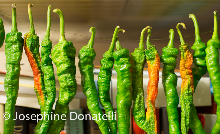 Josephine-Donatelli-Hot-Peppers-CapturedEvent.com