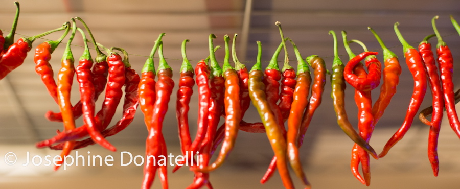 Josephine-Donatelli-Hot-Peppers-CapturedEvent.com